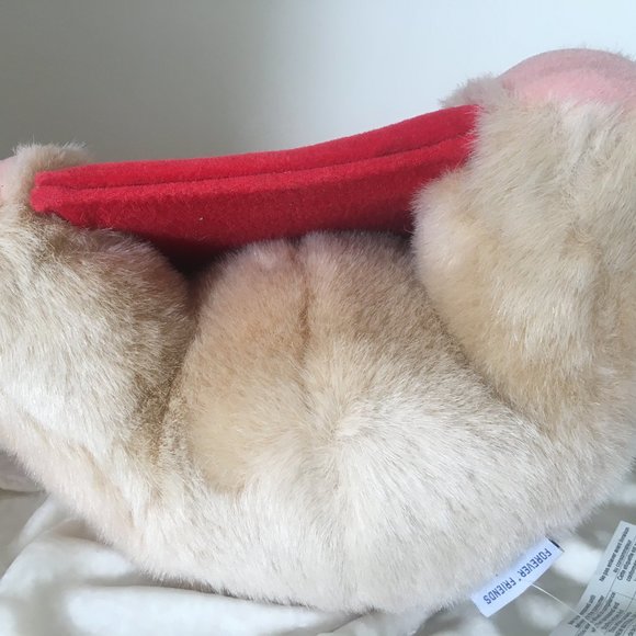 Forever Friends Bear with Picture Frame - Picture 3 of 3